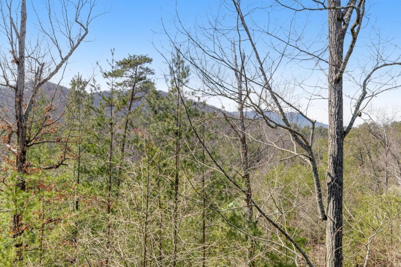 Papaw's Bear Den Villa Pigeon Forge Bagian luar foto